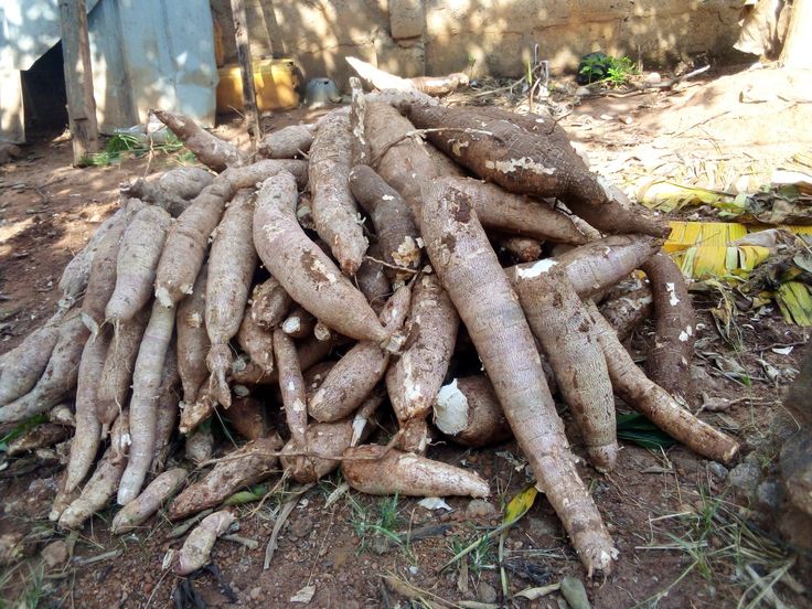 High Quality Cassava Flour